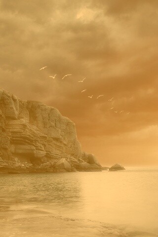 Чайки над скалами обои