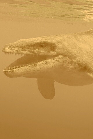 Морской динозавр обои