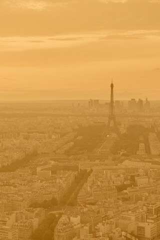 Вид на вечерний Париж обои