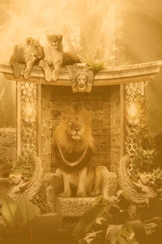 Царь зверей обои