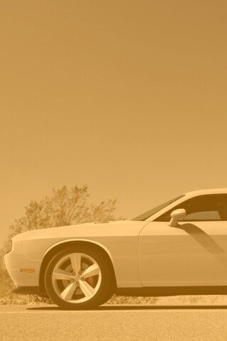 Стартующий Форд Мустанг обои