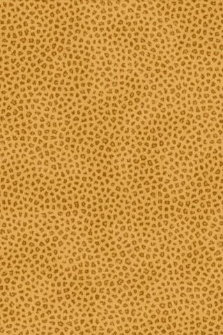 Пятнистая шкура обои