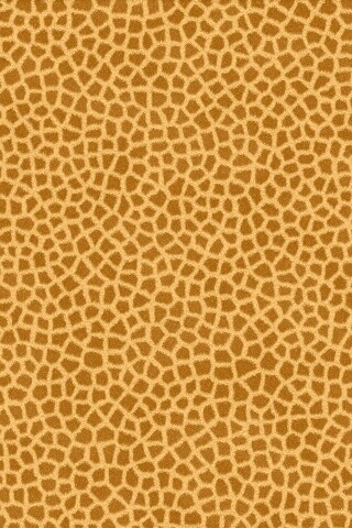 Текстура шкуры жирафа обои
