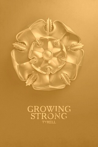 Металлический герб Тиреллов обои