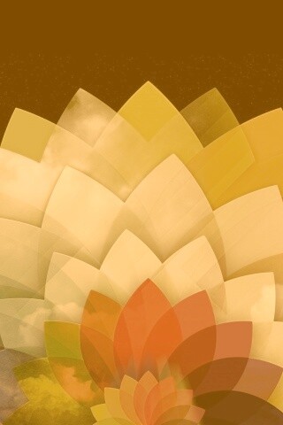 Радужный цветок обои