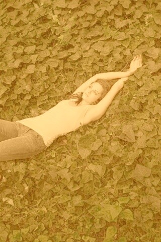 Кристен Стюарт на ковре из листьев обои