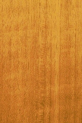 Темно-оранжевое дерево обои