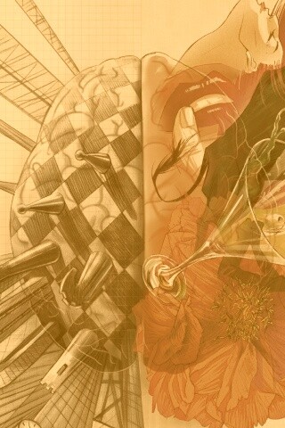 Левая и правая часть мозга обои