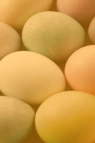 Яркие пасхальные яйца обои