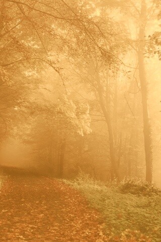 Осенний мистический пейзаж обои