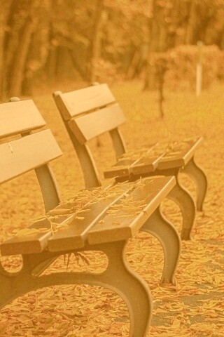 Лавочки в осеннем парке обои