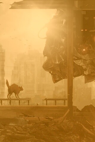 Кошкино удивление обои