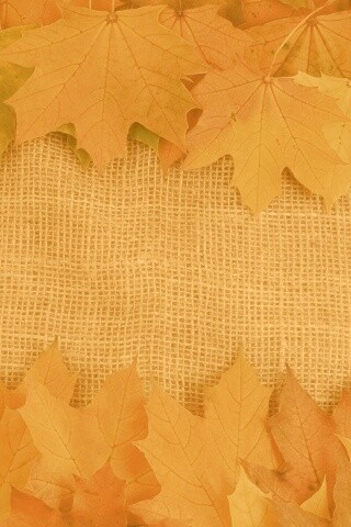 Желтые кленовые листья на холсте обои