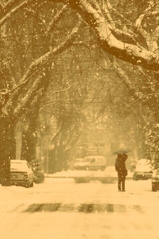 Зимняя улица обои