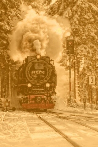 Паровоз в димнем лесу обои