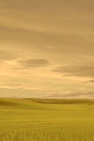 Зеленый луг обои