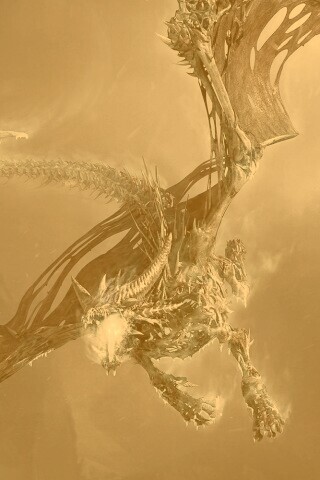 Ледяной дракон обои