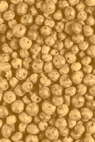 Черника обои