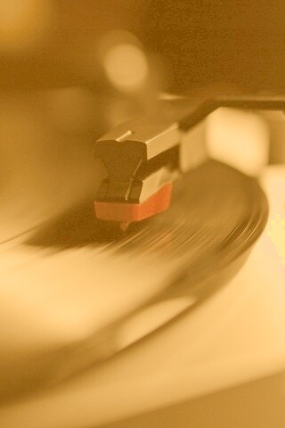 Пластинка обои