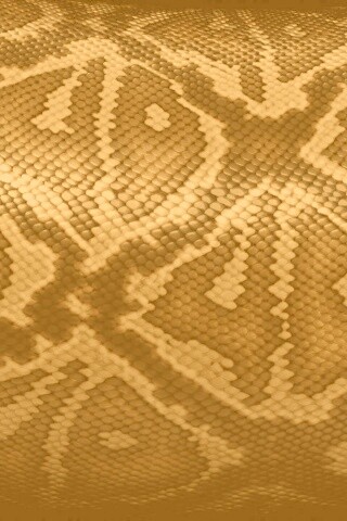 Змеиная кожа обои
