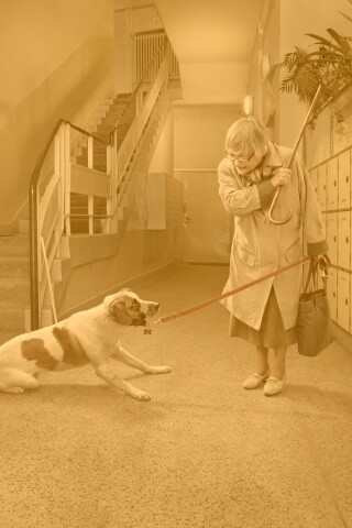 Непослушная собака обои