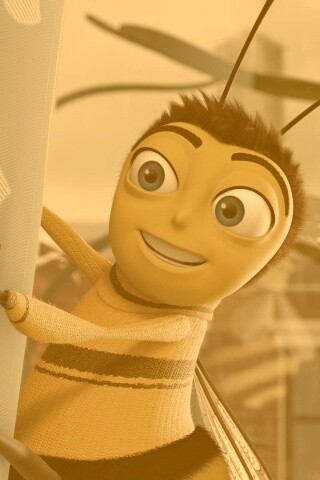 Бимуви обои