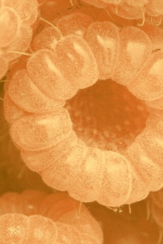 Малина обои