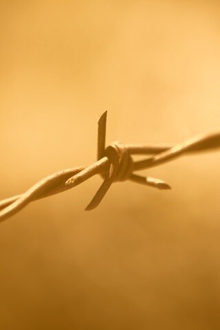 Фото колючей проволоки обои