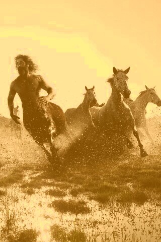 Кентавр обои