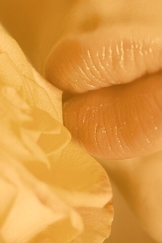 Губы девушки и роза обои