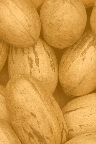 Грецкие орехи обои