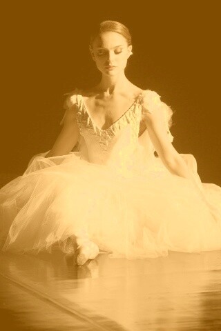 Черный лебедь обои