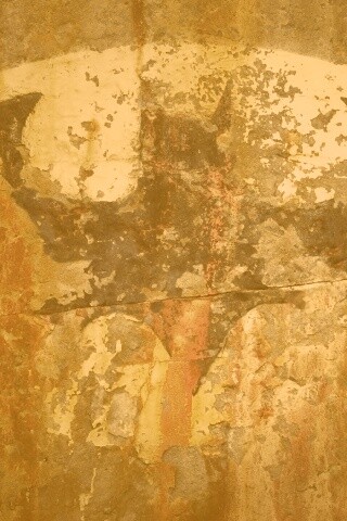 Эмблема Бэтмена обои