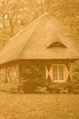 Домик в осеннем лесу обои