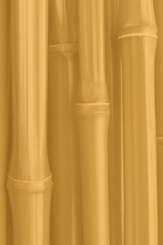 Бамбуковая роща обои