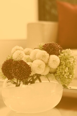 Цветы в белой вазе обои