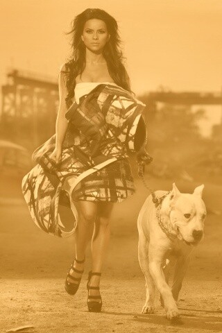 Девушка с питбулем обои