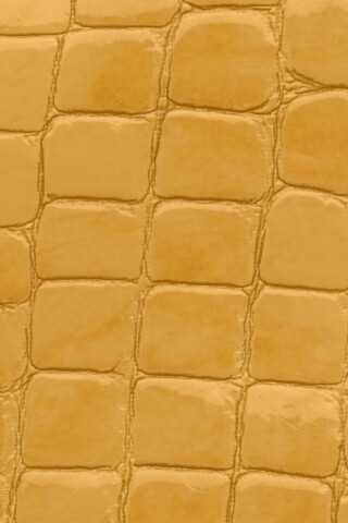 Змеиная кожа обои