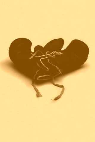 Боксерские перчатки обои