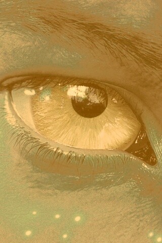 Смотрит прямо в душу обои