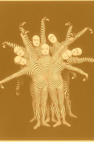 Зеброиды (актеры цирка дю солей) обои