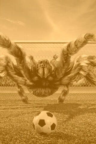 Вратарь обои