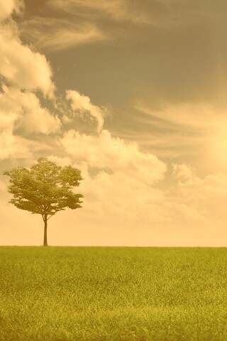 Один в целом мире обои