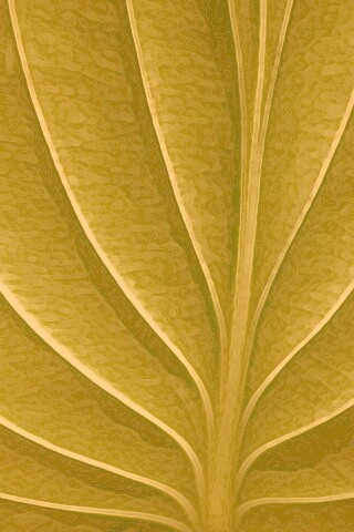 Неоновый лист обои