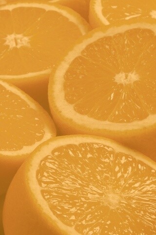 Апельсины обои
