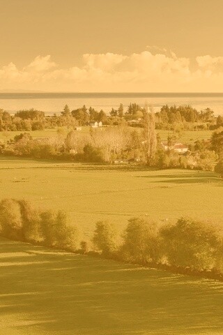 Сельская природа обои