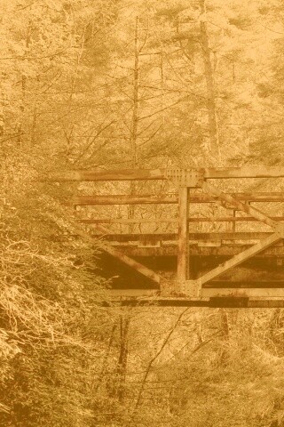 Металлический мост в лесной глуши обои