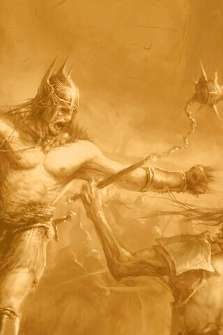 На поле брани обои