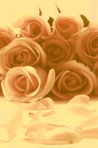 Букет роз обои