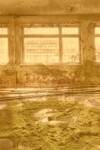 Запустение обои